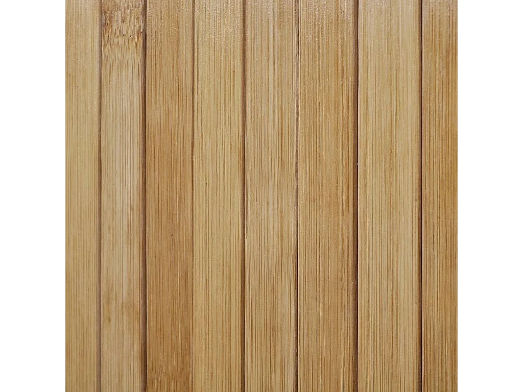 Cloison de séparation Bambou naturel 250x165 cm