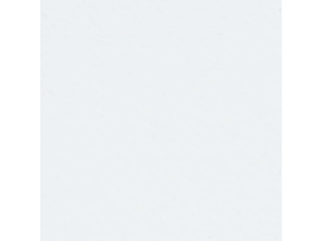 Surmatelas de sommier tapissier 200x120x5 cm