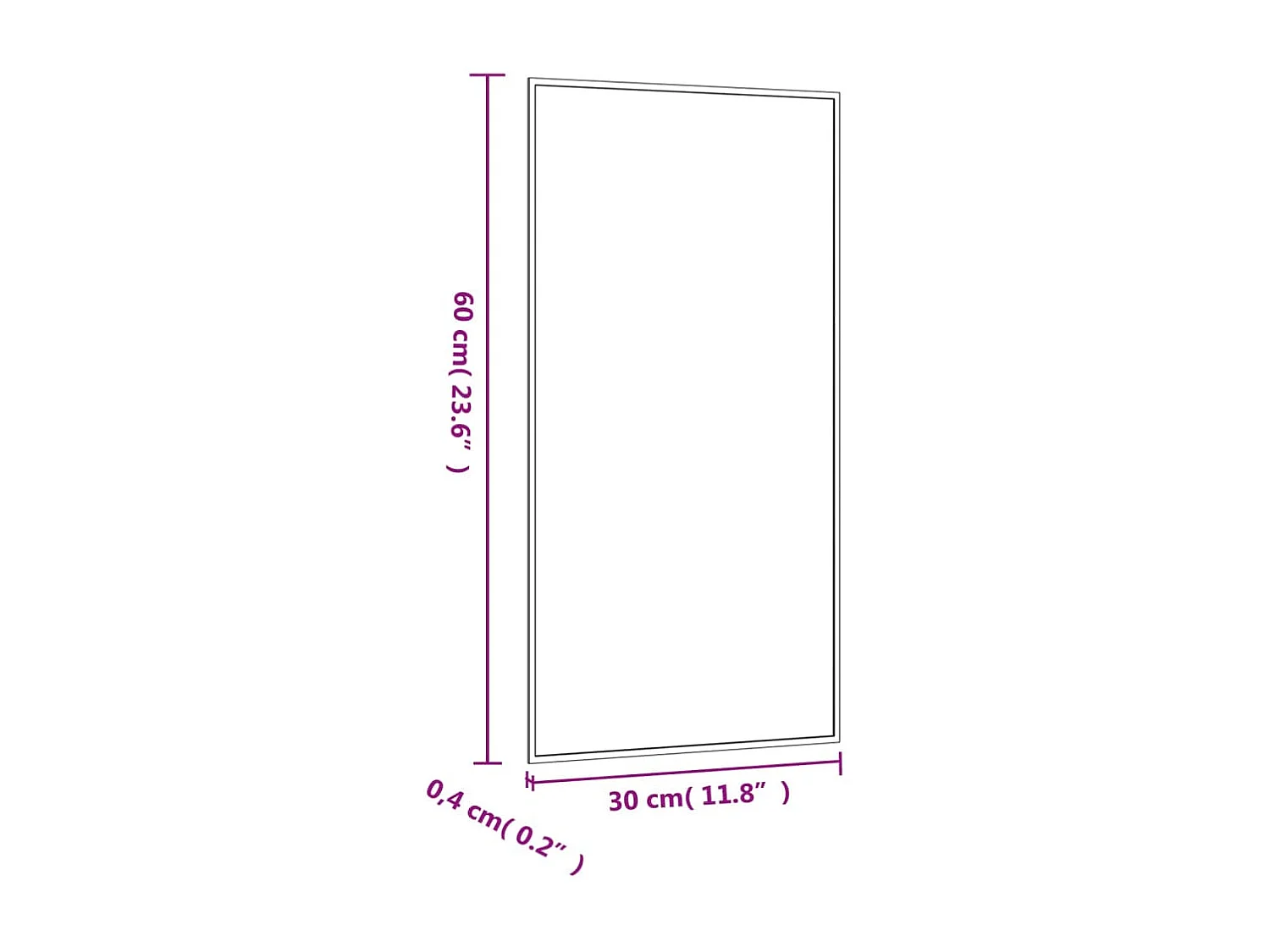 Specchio da Parete 30x60 cm Vetro Rettangolare