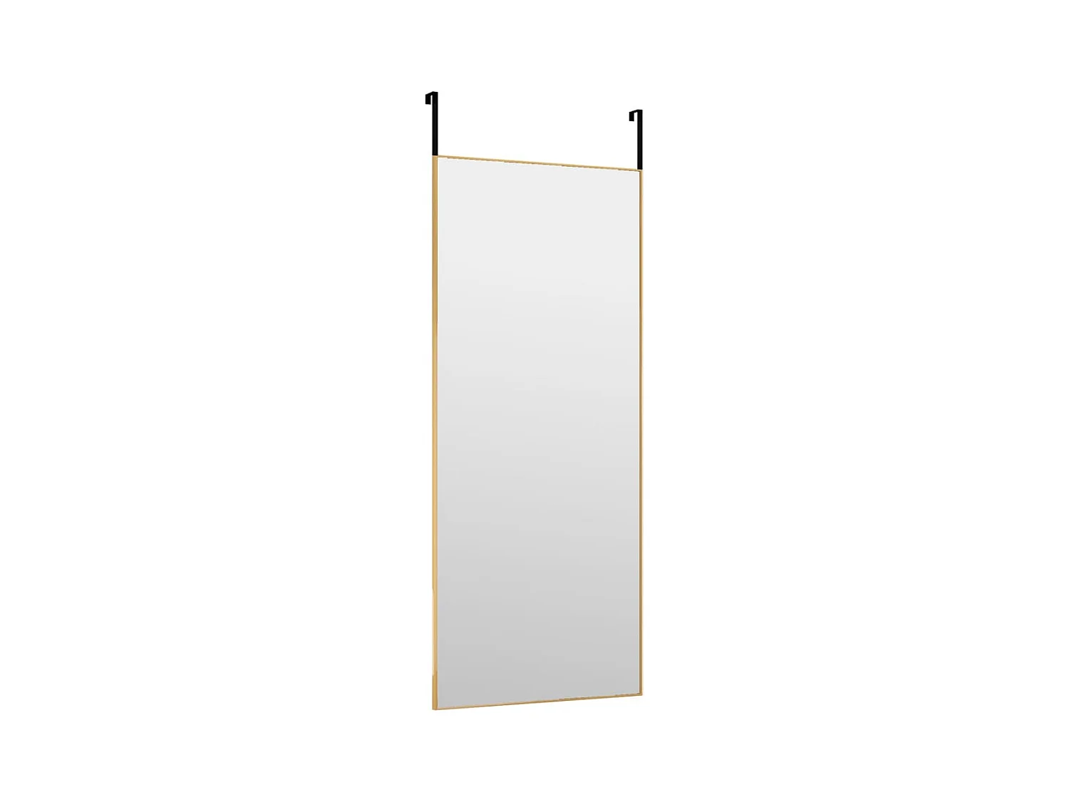 Miroir de porte Doré 40x100 cm Verre et aluminium
