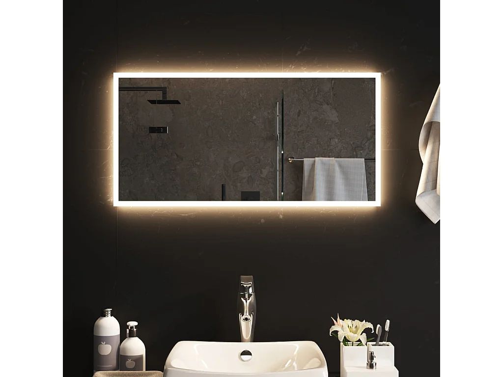 Specchio da Bagno con Luci LED 40x80 cm