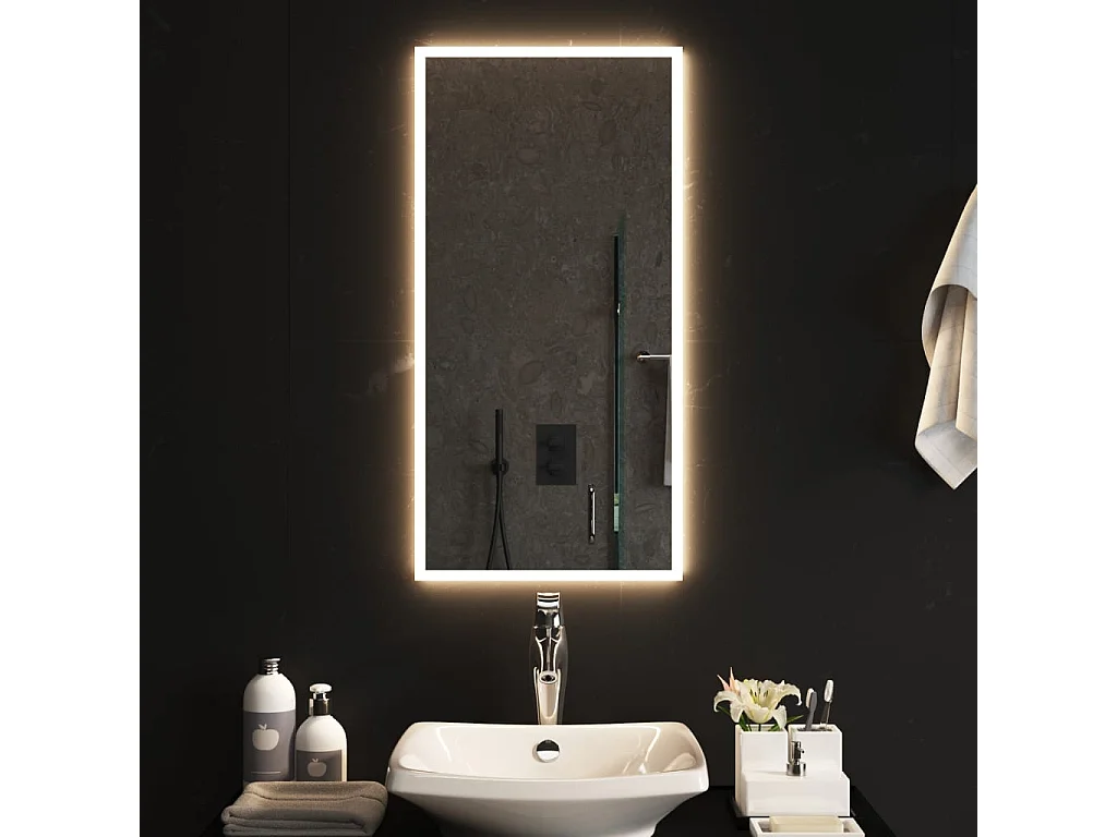 Specchio da Bagno con Luci LED 40x80 cm