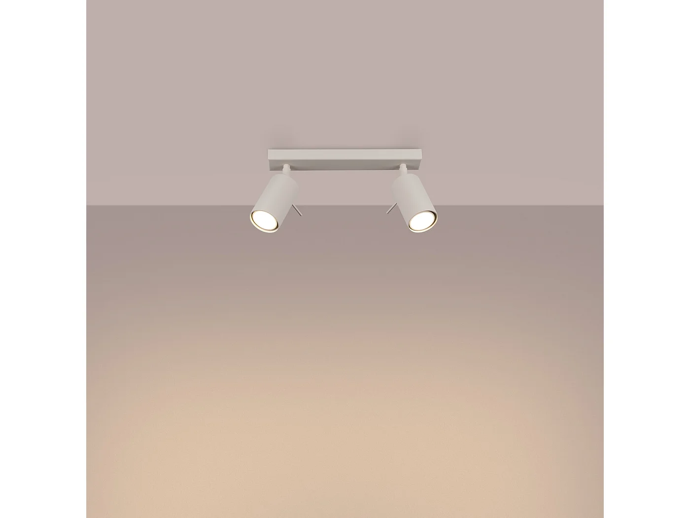 Plafonnier Ring Moderne En Acier - 2 Sources Lumineuses - L.30 X H.17 Cm - Beige