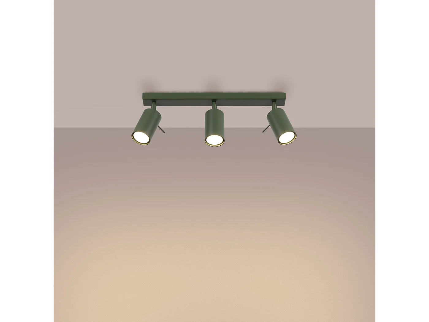 Plafondlamp RING modern van  - 3 lichtbronnen - L.45 x H.17 cm - olijfgroen