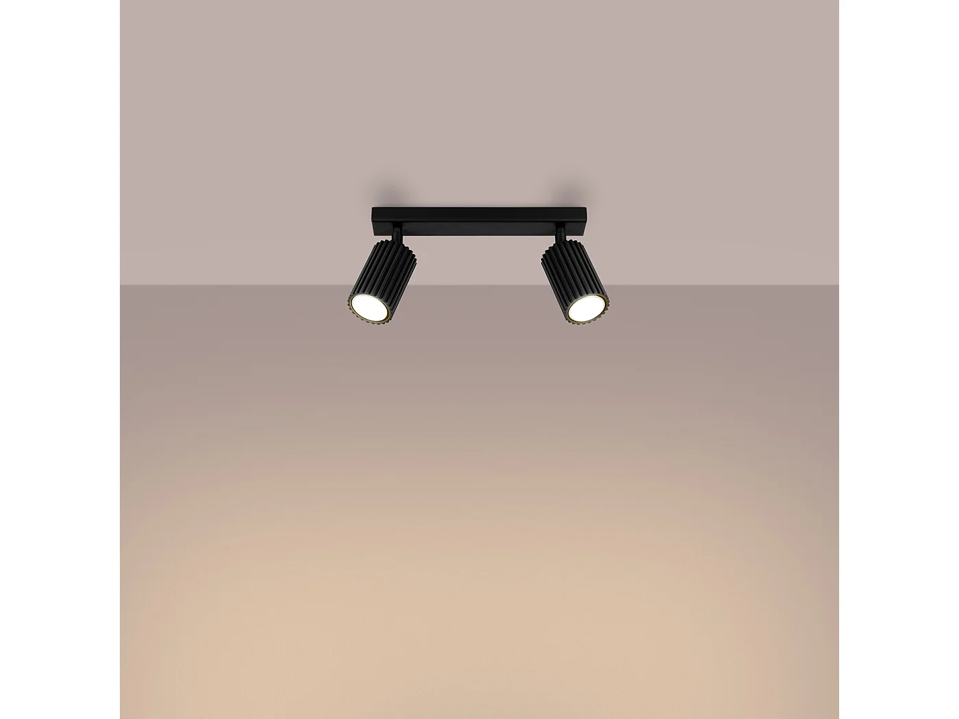 Plafonnier Karbon Minimaliste En Aluminium - 2 Sources Lumineuses - L.30 X H.16,5 Cm - Noir