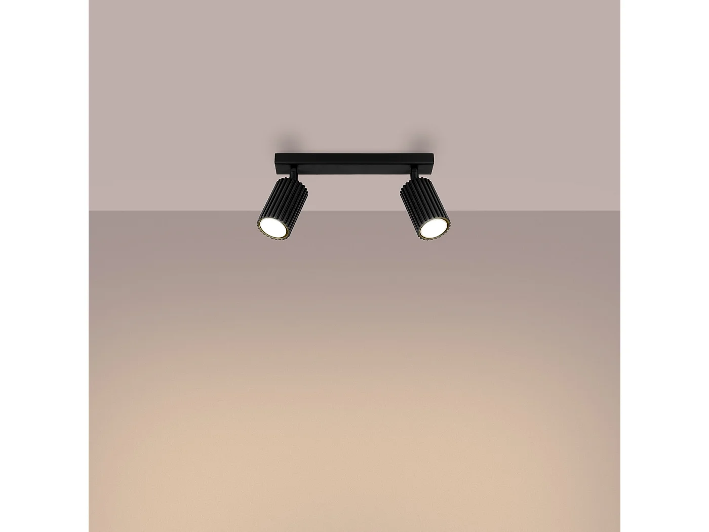 Plafonnier Karbon Minimaliste En Aluminium - 2 Sources Lumineuses - L.30 X H.16,5 Cm - Noir