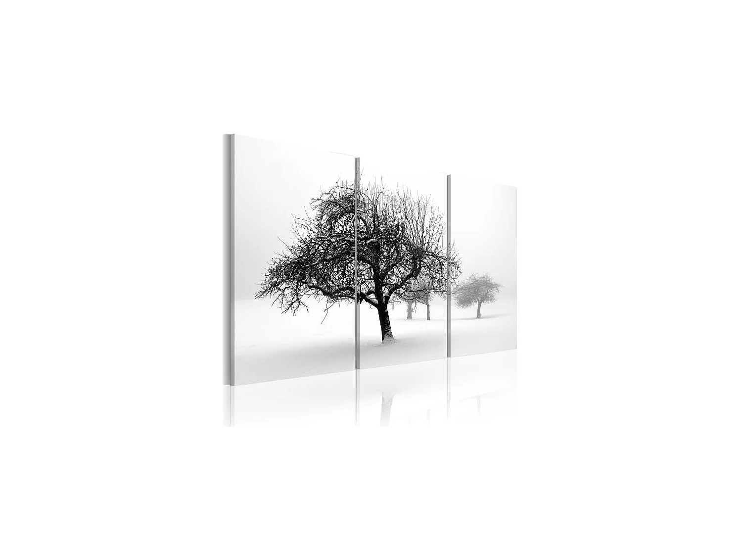 Tableau Arbres dans le brouillard 60x40 cm