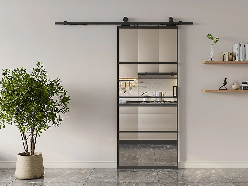 Schiebetür mit Laufschienensystem - Aluminium & rauchfarbenes Sicherheitsglas transparent - 205 cm x 63 cm - SINCA II