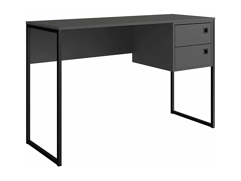 Escritorio Juvenil 2 Cajones Gris