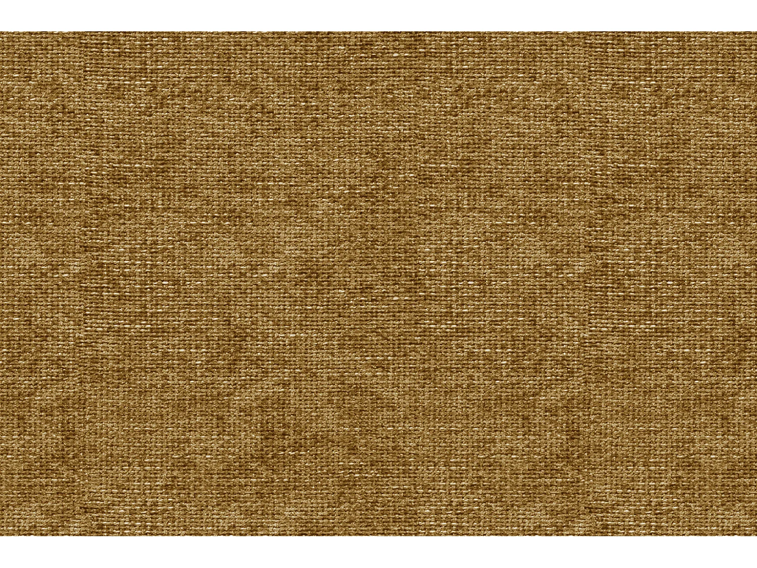 SALVINI Sofa 2-Sitzer, senfgelb