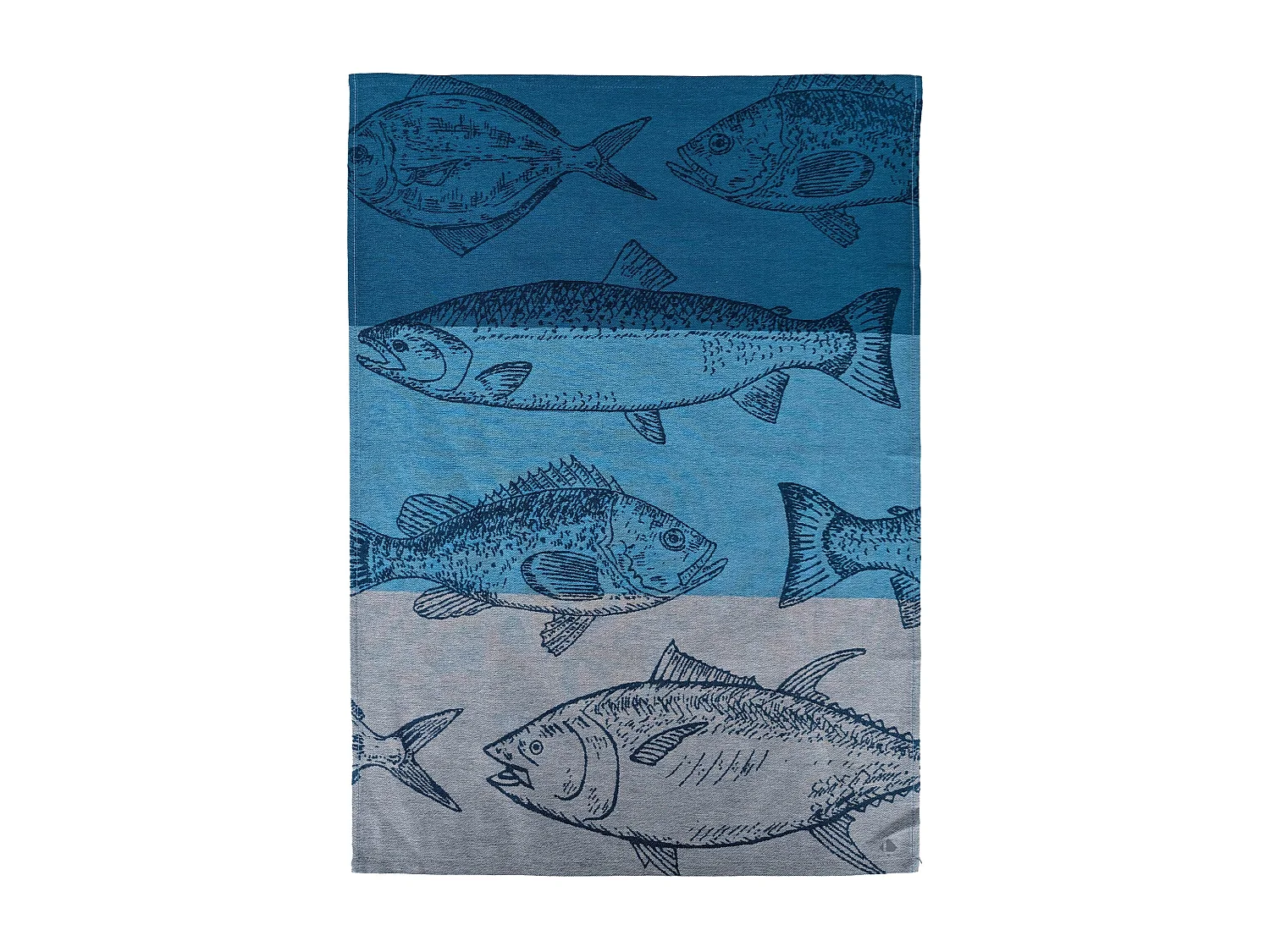 Lot de 2 torchons de cuisine 50x70 cm coton ATLANTIC motif poisson bleu