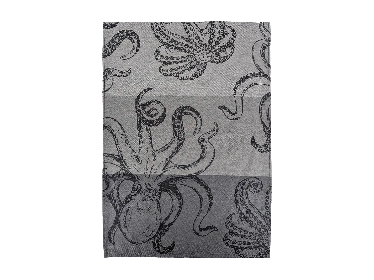 Lot de 2 torchons de cuisine 50x70 cm coton ATLANTIC motif pieuvre gris