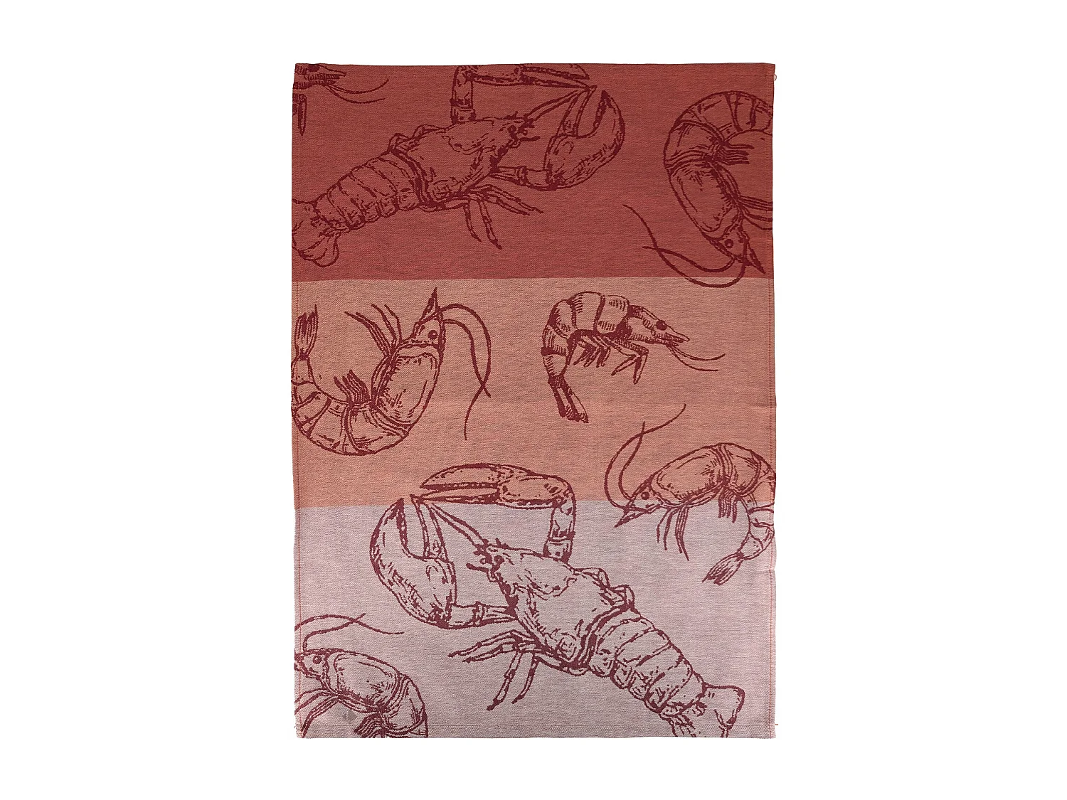 Lot de 2 torchons de cuisine 50x70 cm coton ATLANTIC motif écrevisse saumon