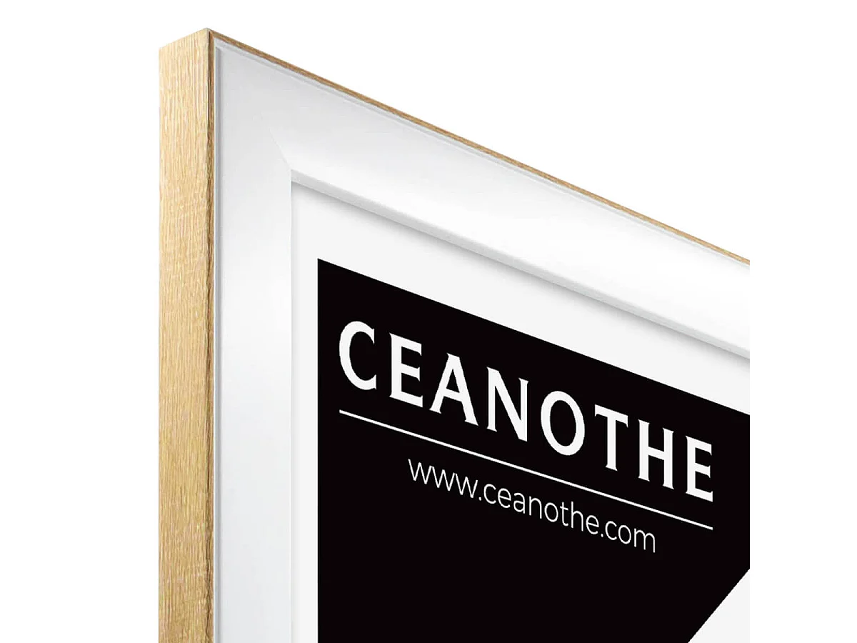 Cadre photo Newton brut 40x60 cm