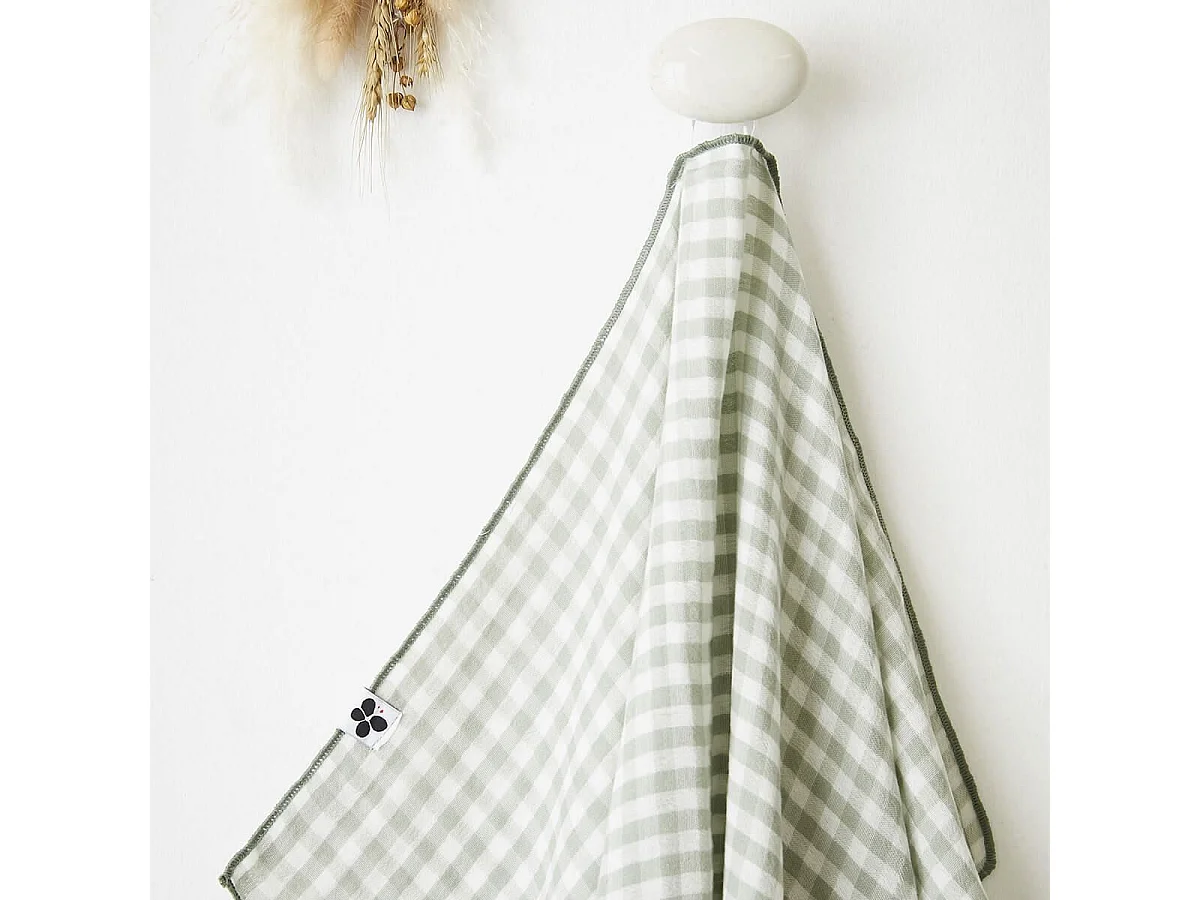 JOEL - Lot de 2 Essuie-mains 50x70cm Gaze de Coton Vichy Coloris Eucalyptus