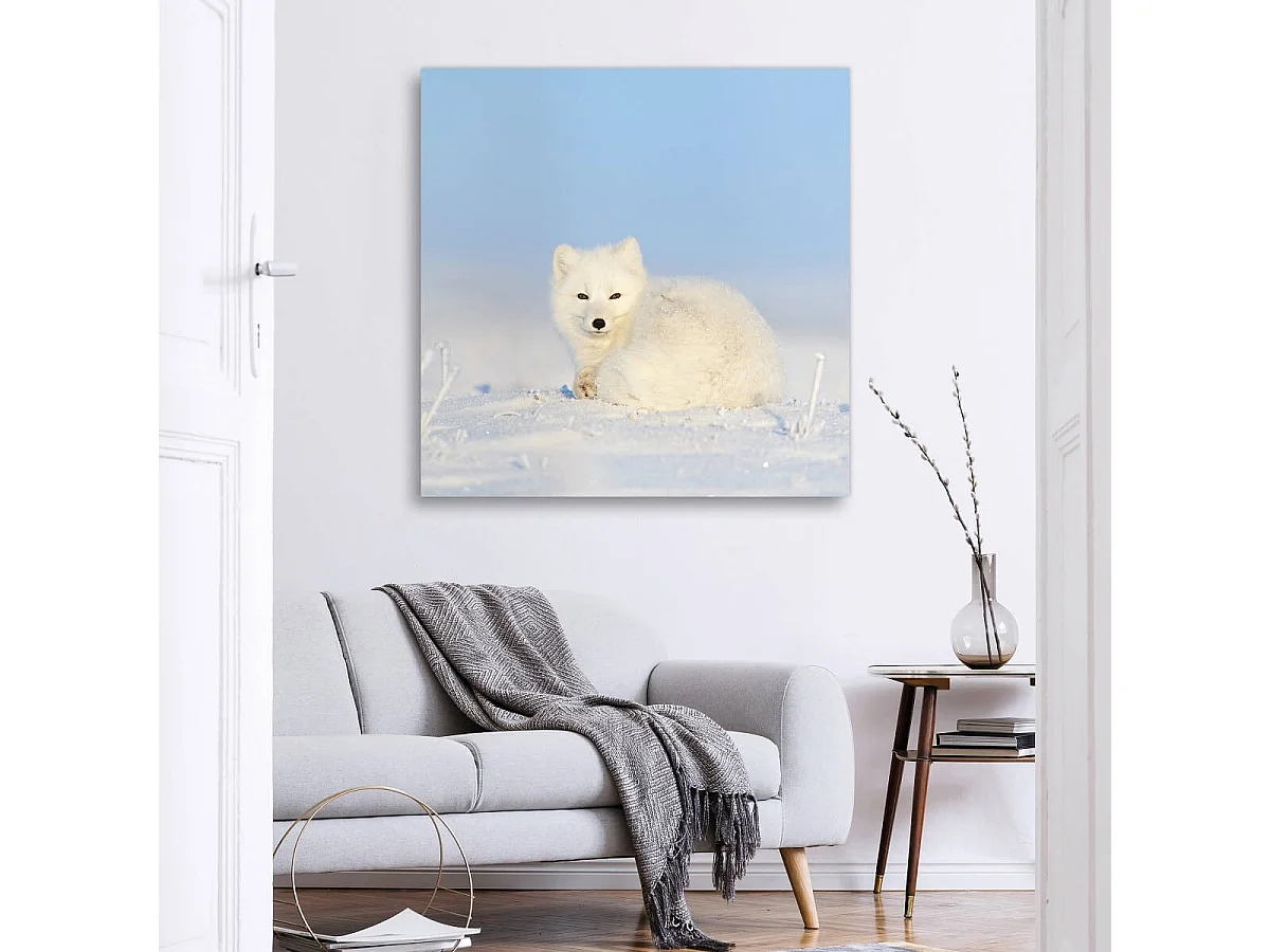 Tableau sur toile beauté animale 90x90 cm