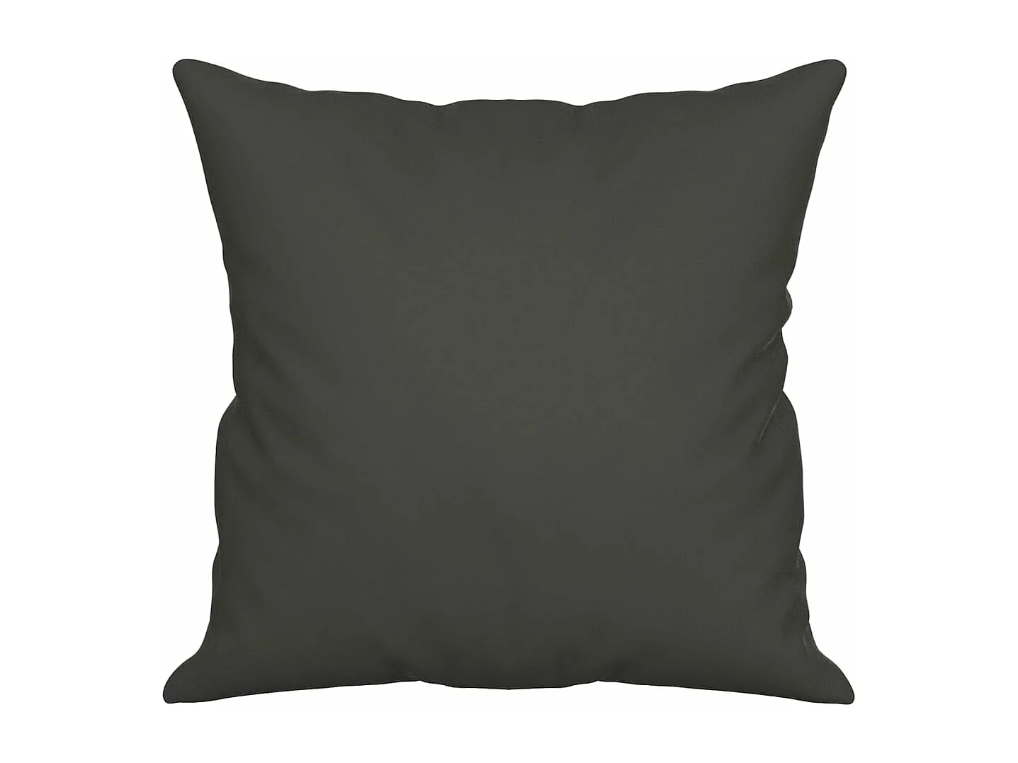 Coussins décoratifs lot de 2 Gris foncé Tissu microfibre