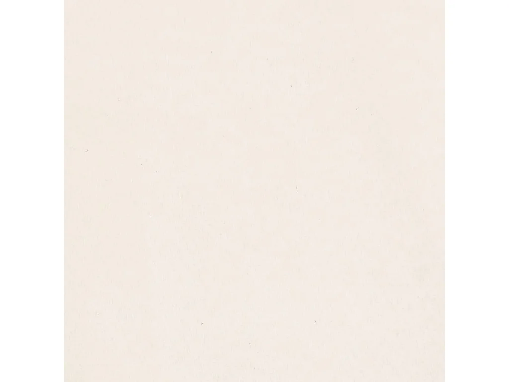 Coussins décoratifs lot de 2 Beige 40x40 cm Tissu microfibre