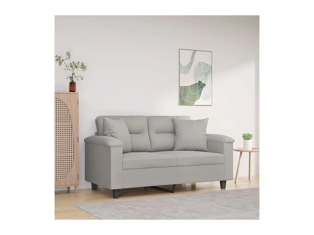 Coussins décoratifs lot de 2 Gris clair Tissu microfibre