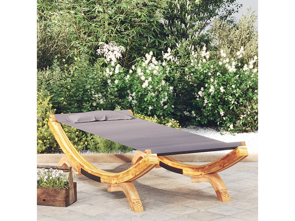 Lit de repos extérieur 100x188,5x44 cm Bois courbé Anthracite