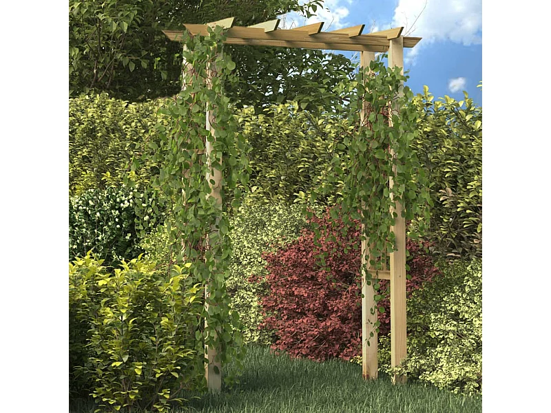 Boog voor rozenstruiken 150 x 60 x 204 cm geïmpregneerd hout