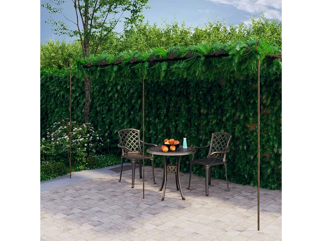 Pergolato da giardino Marrone Antico 6x3x2,5 mt Ferro