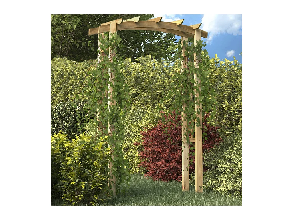 Voûte en treillis 150x60x210 cm Bois