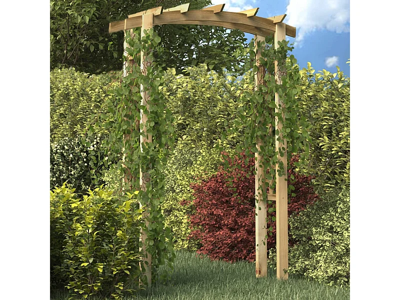 Voûte en treillis 150x60x210 cm Bois