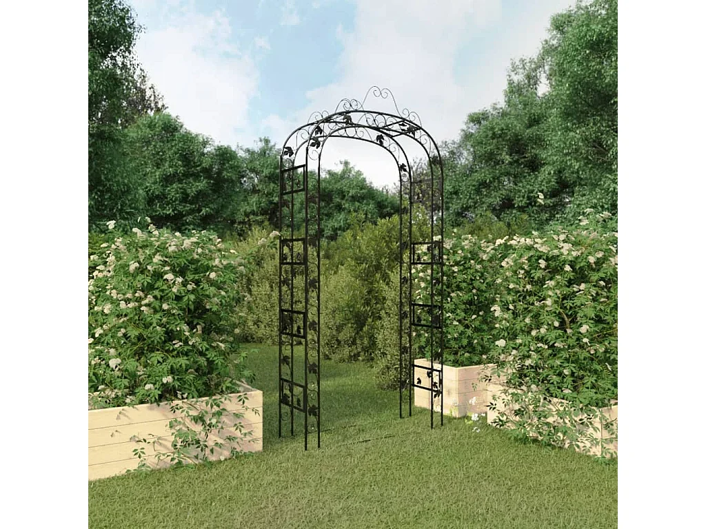 Arche de jardin Noir 116x45x240 cm Acier
