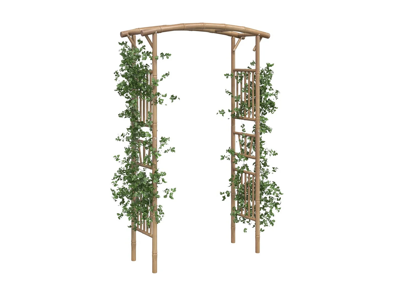Arco para rosales Bambú 118x40x187 cm