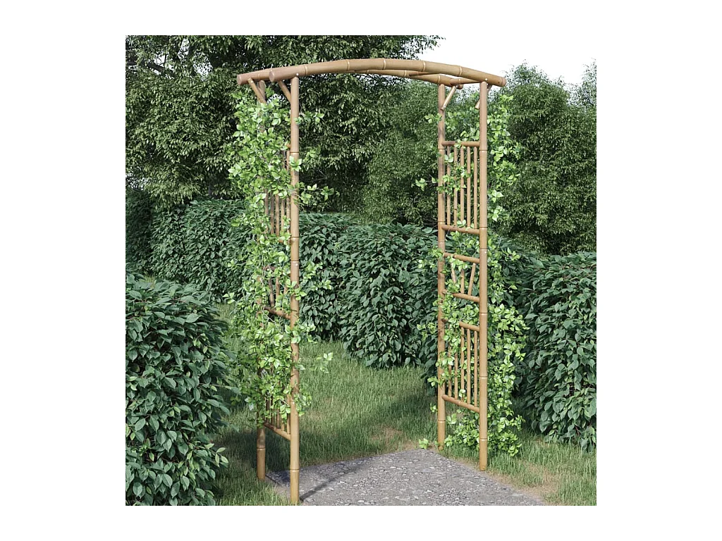 Arche pour rosiers Bambou 118x40x187 cm