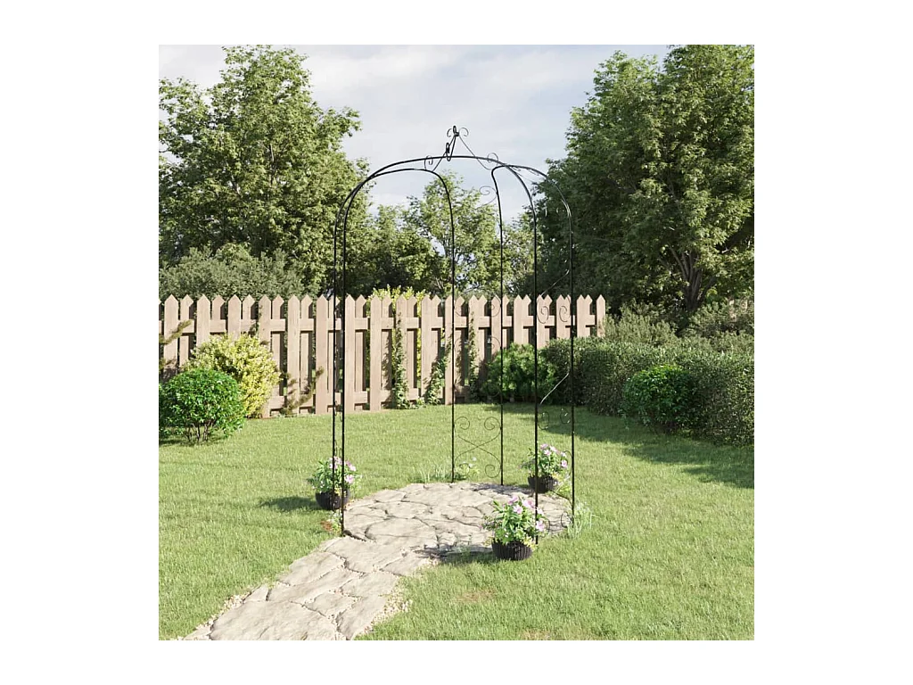 Arche de jardin Noir Ø180x255 cm Acier