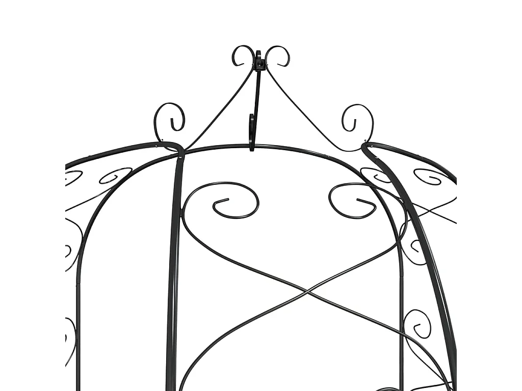 Arche de jardin Noir Ø180x255 cm Acier