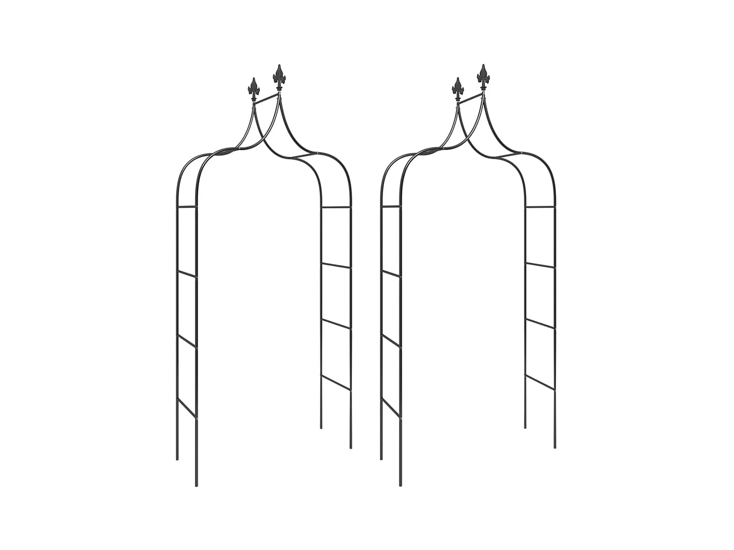 Arcos de jardín 2 uds Negro 120x38x260 cm Acero