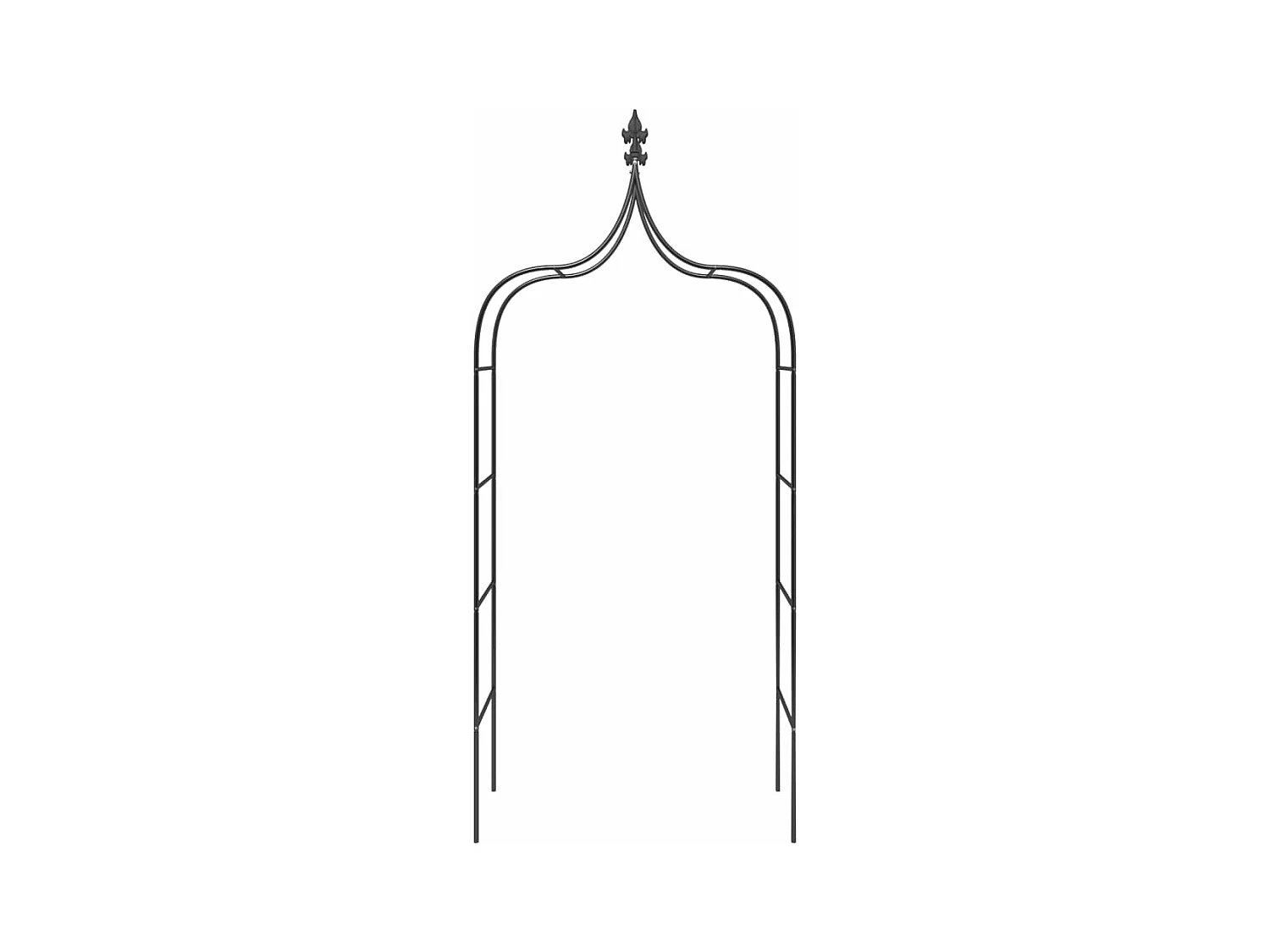 Arcos de jardín 2 uds Negro 120x38x260 cm Acero