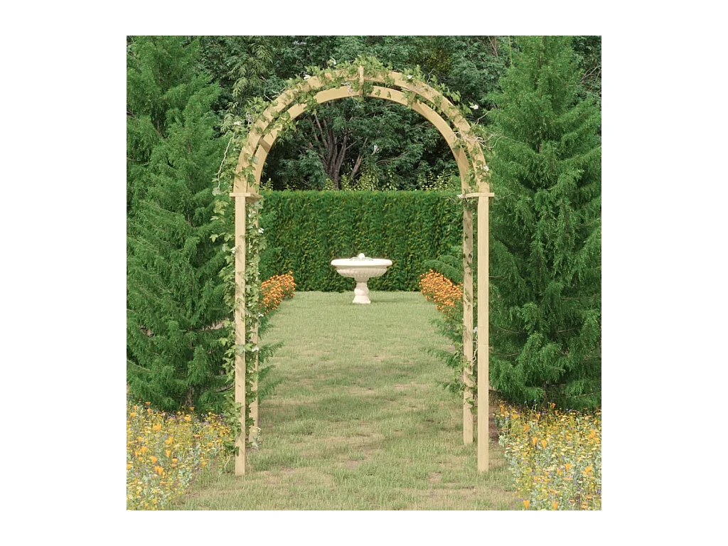 Arche 141x97x243 cm Bois de pin massif imprégné