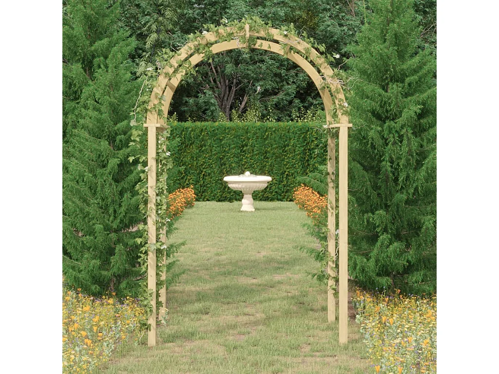 Arco 141x97x243 cm Madeira maciça de pinho impregnada