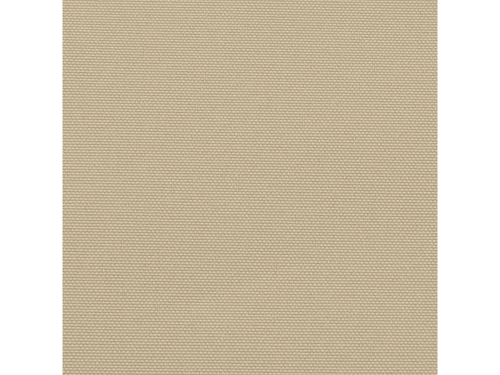 Auvent latéral rétractable beige 220x500 cm