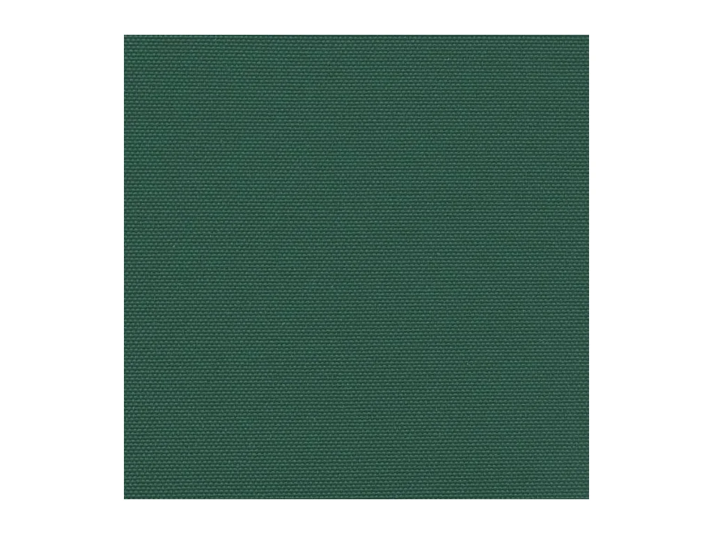 Auvent latéral rétractable vert foncé 220x300 cm