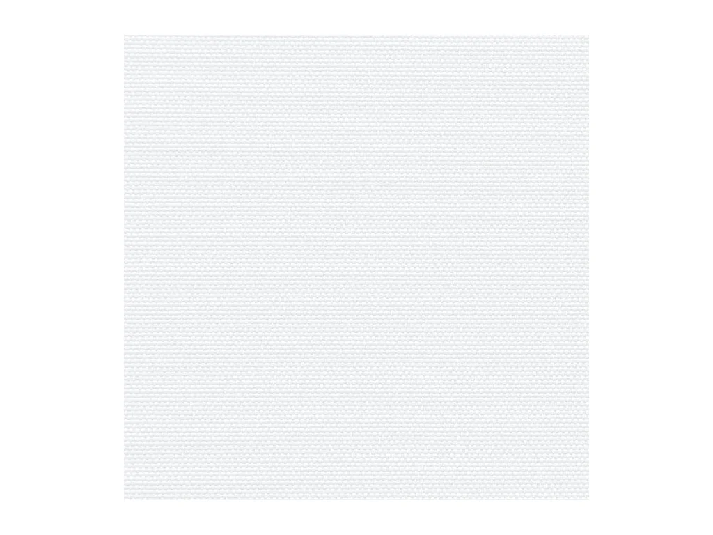 Auvent latéral rétractable blanc 100x500 cm
