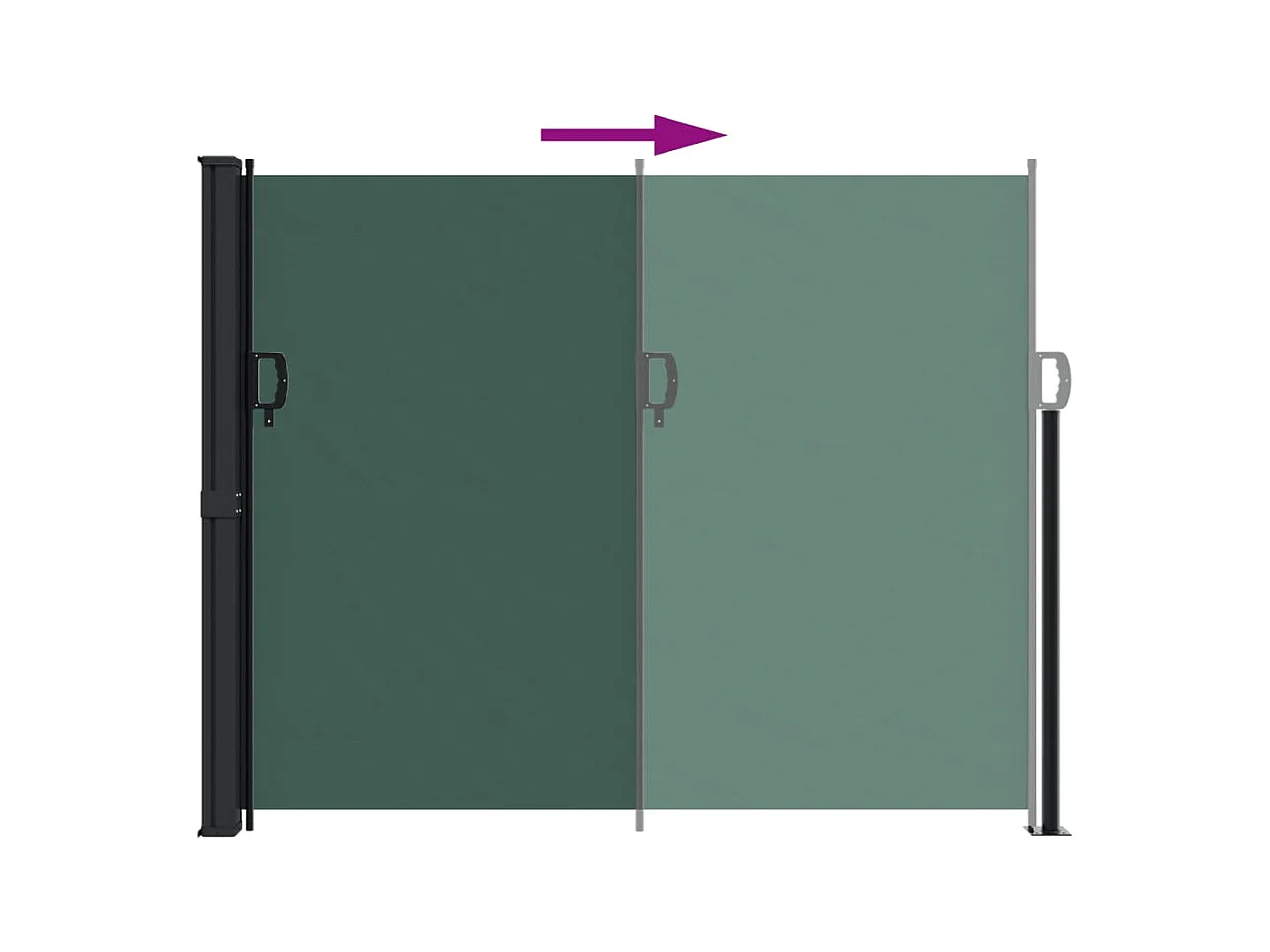 Auvent latéral rétractable vert foncé 160x500 cm