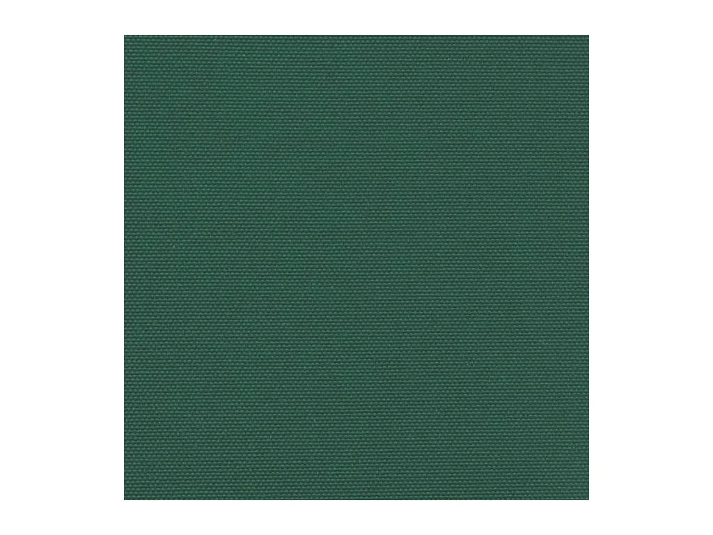 Auvent latéral rétractable vert foncé 160x500 cm