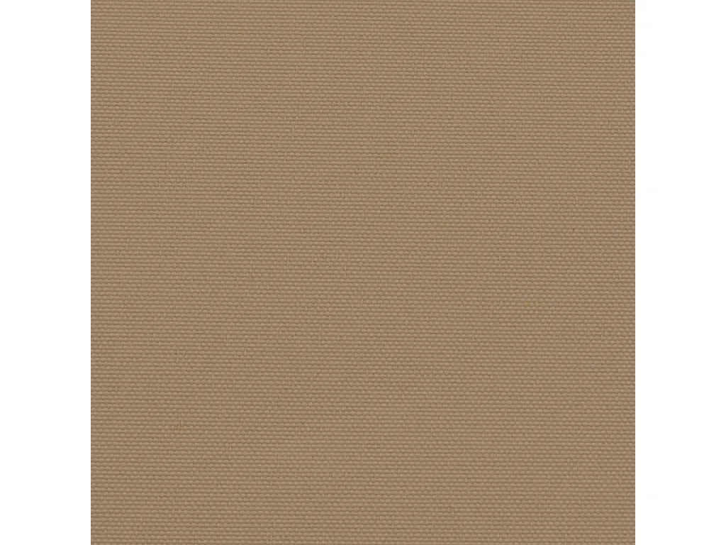 Auvent latéral rétractable taupe 100x1000 cm