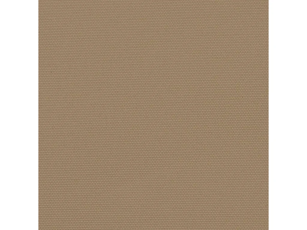 Auvent latéral rétractable taupe 220x1000 cm