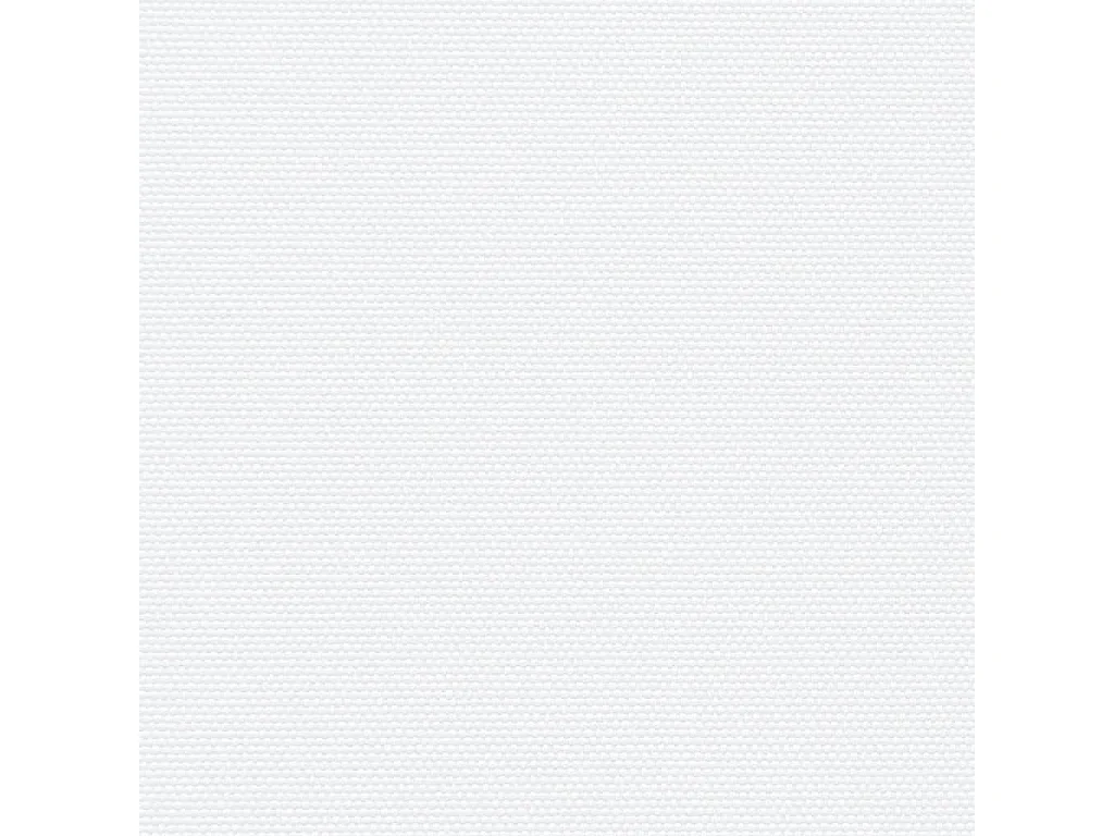 Auvent latéral rétractable blanc 220x600 cm