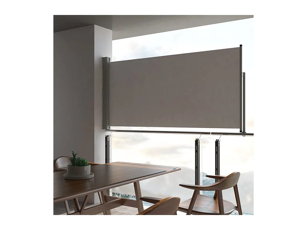 Auvent latéral rétractable de patio 120 x 300 cm Gris