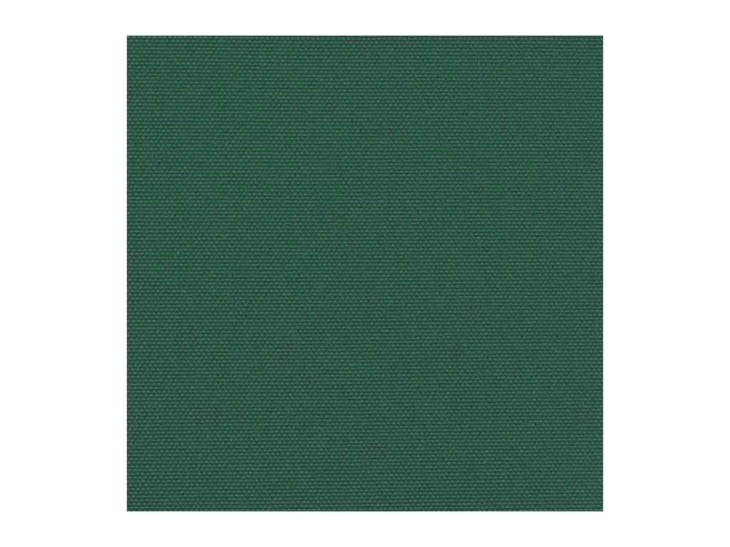 Auvent latéral rétractable vert foncé 180x600 cm