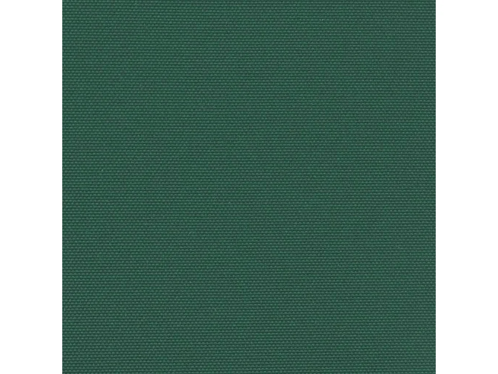 Auvent latéral rétractable vert foncé 180x600 cm