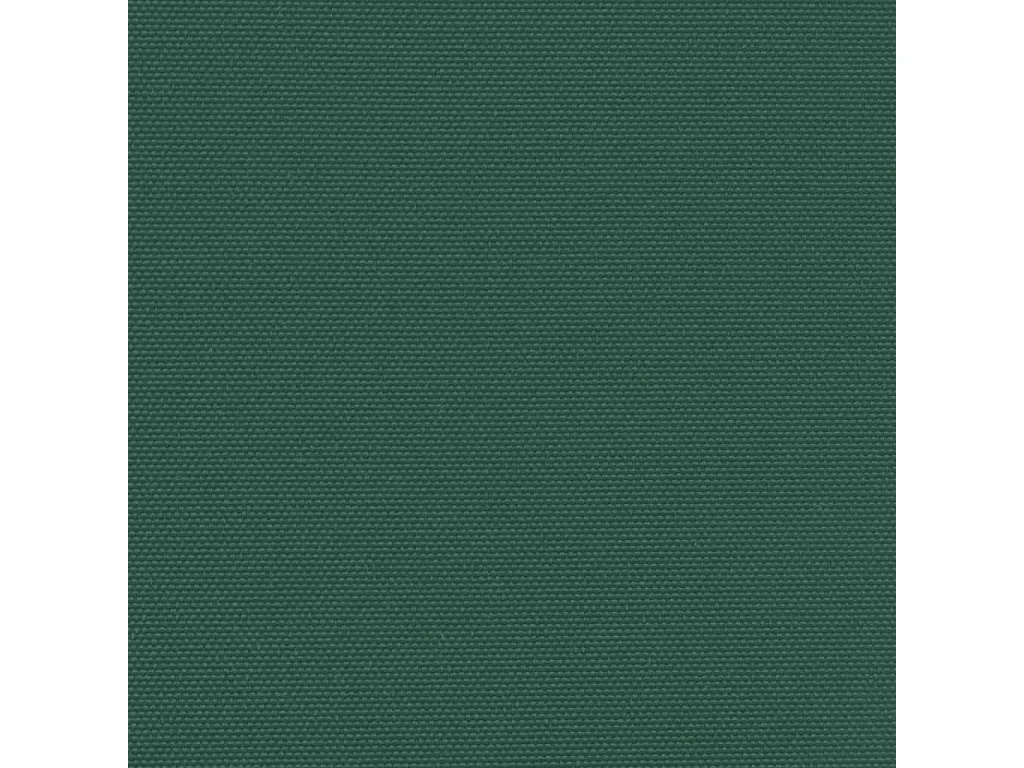 Auvent latéral rétractable vert foncé 170x300 cm