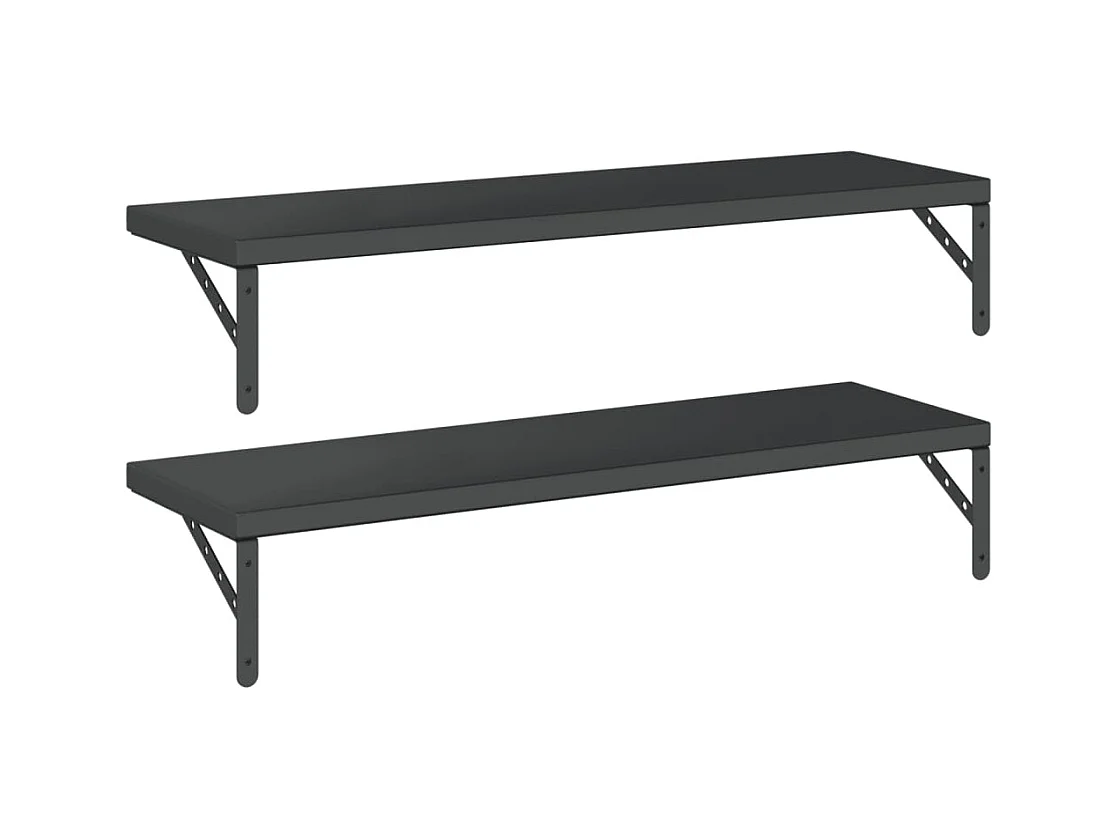 Mensole a Muro 2 pz 100x30 cm Nero in Acciaio Inossidabile